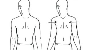 scapular elevation